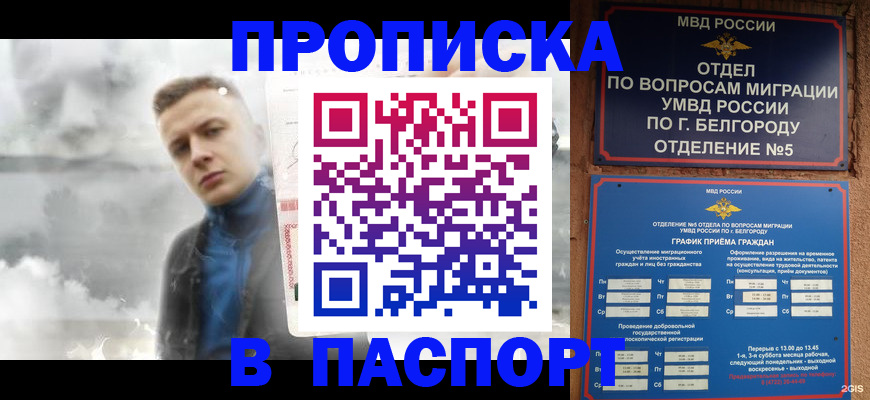 временная регистрация в Талдоме